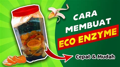 Diy Cara Membuat Eco Enzyme Dengan Mudah Di Rumah Youtube