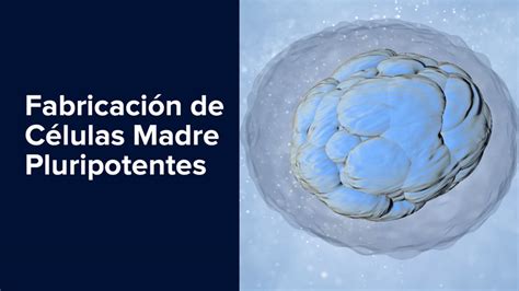 VIDEO Fabricación de Células Madre Pluripotentes Subtítulos en