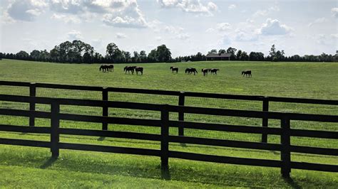 39++ Horse farm zoom background ideas | horsestable