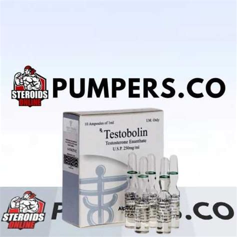 Testobolin Mg Alpha Pharma Testosterone Enanthate Ampoules