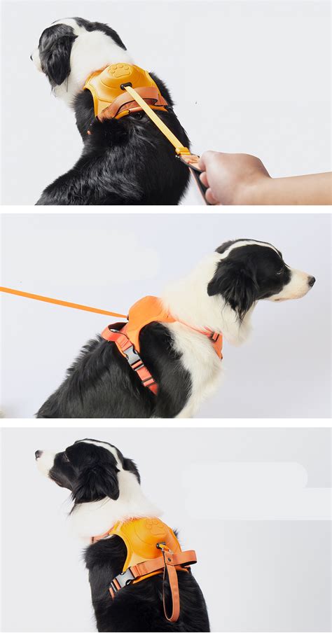 Retractable Dog Harness with Safety Handle - Pets - nisasy