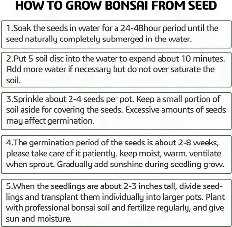 Planters Choice Bonsai Deluxe Starter Kit Rocka Design™