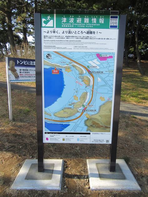 津波避難対策について海の公園公式サイト｜公益財団法人 横浜市緑の協会