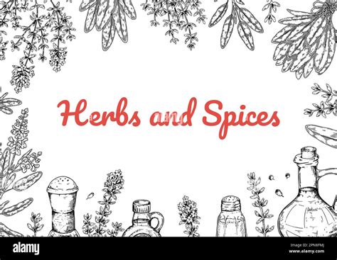 Herbs And Spices Horizontal Design Hand Draw Background With Cooking