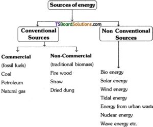 Ts Inter St Year Environmental Education Study Material Chapter