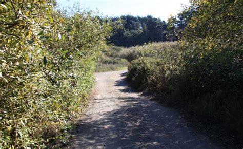 Gualala River Beach in Gualala, CA - California Beaches