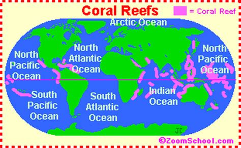 Coral Reef Map Dr Franks Esl