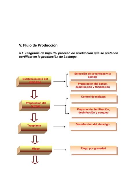 Manual De Buenas Practicas Agricola Cultivo De Lechuga Pdf