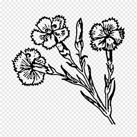 Flor De Artes Visuales Dibujo Sello De Goma Hoja Rama Monocromo Png