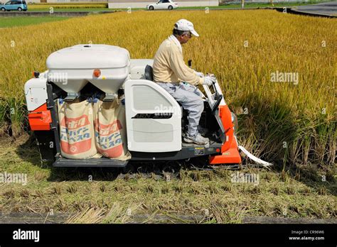 Mini Rice Harvester