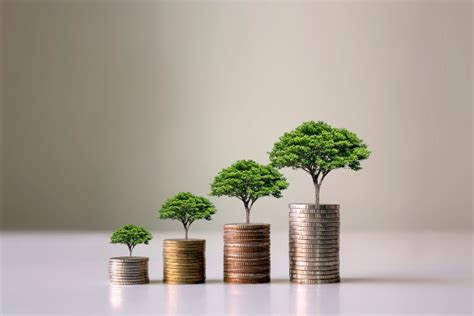 Tertarik Investasi Jangka Panjang? Pahami Dulu Hal Ini