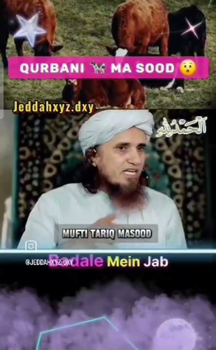 Qurbani Ke Gosht Ka Hissa Karne Ka Sahi Tarika Youtube