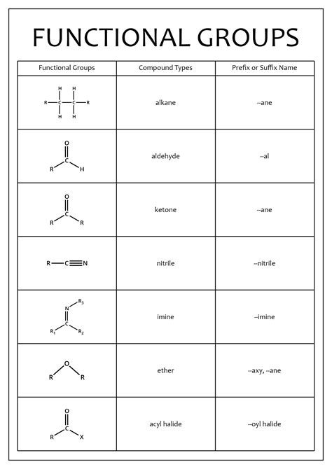 Identifying Functional Groups Worksheet Printable Word Searches Hot