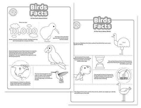 Bird Facts For Kids of All Ages | Kids Activities Blog