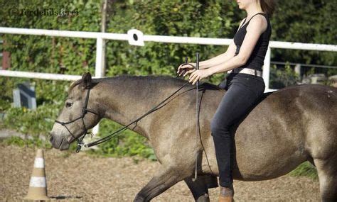 Schnelle Tipps F R Einen Guten Reitersitz In Richtig Reiten