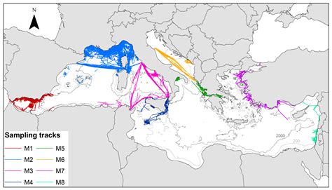 Diversity Free Full Text Cetaceans In The Mediterranean Sea