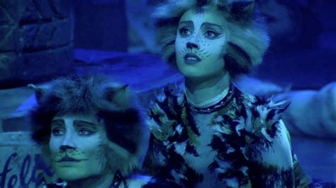 Cats 1998