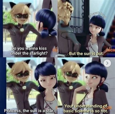 Cr Hawk Bug Miraculous Ladybug Memes Miraculous Ladybug Anime