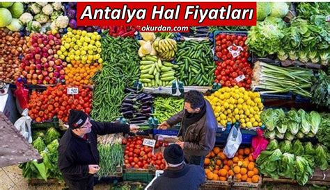 Antalya Hal Fiyatları Güncel Fiyat Listesi 2024 Okurdan