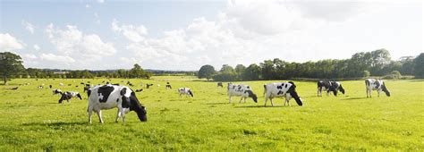 Welcome To Uk Agri Tech Centre Uk Agri Tech Centre