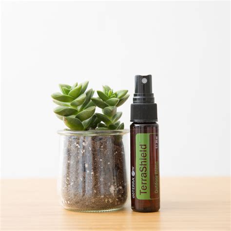 DoTERRA TerraShield Spray Outdoor Mischung Spray 30ml