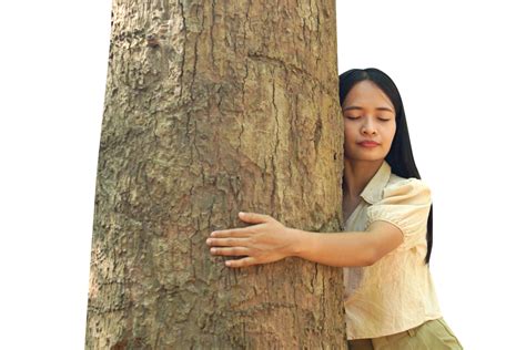 Concept Of Saving The World Asian Woman Hugging A Tree 20952155 Png