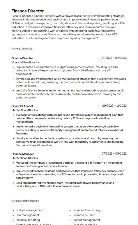 Finance Director Resume Examples With Free Templates