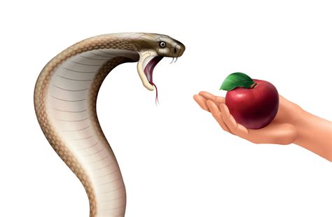 Snake And Apple Composition 3385749 Vector Art at Vecteezy