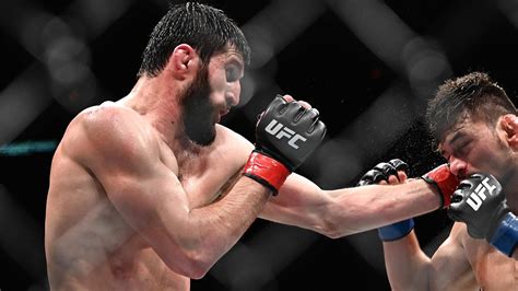 UFC Vegas 50 Ankalaev Vs Santos Odds Picks Predictions