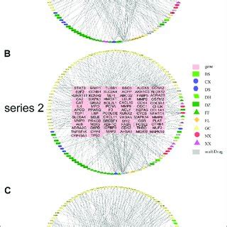 Gene Pathway Network For Dhjsd Activity Against Oa Top Pathways