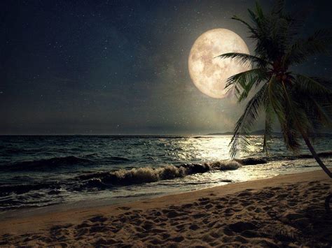 Moon Beach Wallpapers - Top Free Moon Beach Backgrounds - WallpaperAccess