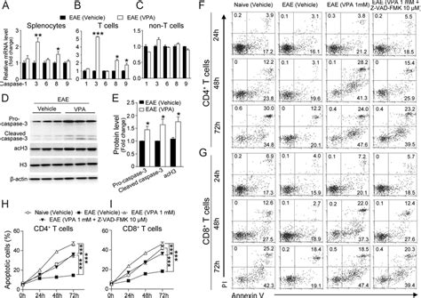 Vpa Induces T Cell Apoptosis Via Caspase Pathway A C Total