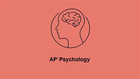 Ap Psychology The Nervous System Neurons And Neural Firing