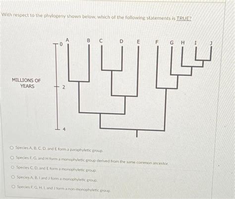 Solved With respect to the phylogeny shown below, which of | Chegg.com