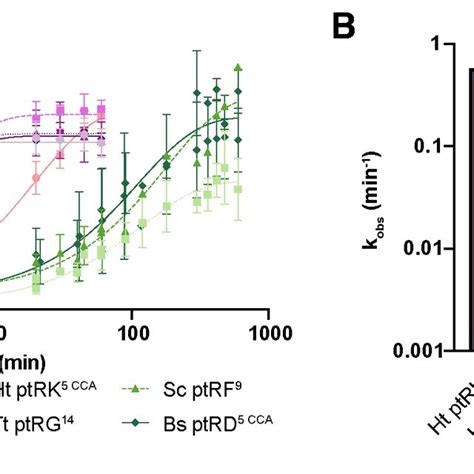 Single Turnover Kinetics Assays Using Hth And Various Substrates