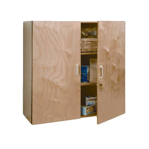 Wall Cabinet Lockable Schools In