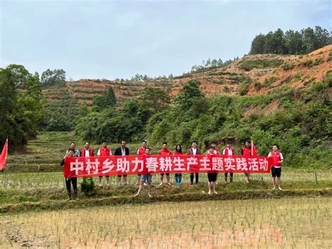 【新时代文明实践】中村乡开展“党员干部下田间 助农插秧战春耕”志愿活动 会昌县信息公开