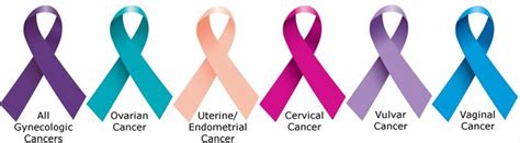 Types Of Gynaecological Cancers Queensland Centre For Gynaecological