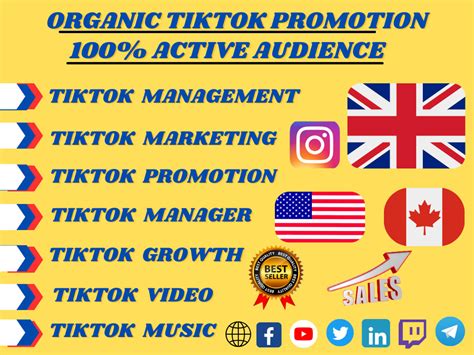 Organic Tiktok Account Tiktok Video Tiktok Follower Tiktok Promotion Upwork