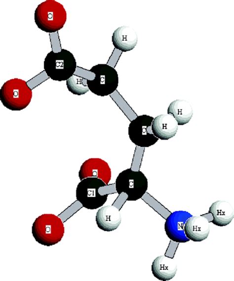 Molecular Structure Of L Glutamic Acid From The Epsr Modeling Box Download Scientific Diagram