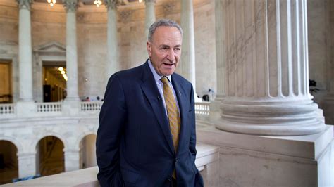 Chuck Schumer Predicts That Democrats Will Hold The Senate Fox News