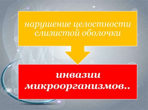 Язвенно-некротический гингивостоматит Венсана - online presentation