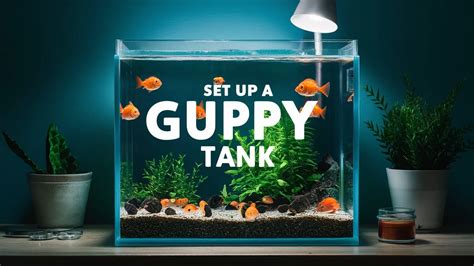 10 Easy Steps To Set Up A Guppy Fish Tank 2024