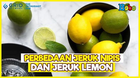 Fakta Menarik Perbedaan Jeruk Nipis Dan Jeruk Lemon Salah Satunya