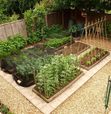 Vegetable Garden Layout In Rows All About Hobby