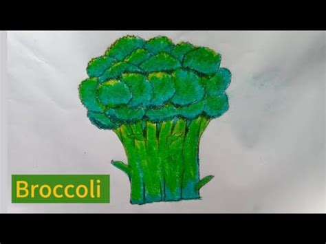 How To Draw Broccoli Easy Broccoli Drawing Broccoli Draw