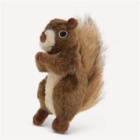 Top Paw® Realistic Squirrel Dog Toy - Plush, Squirrel | dog Plush Toys ...