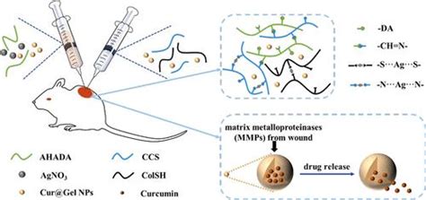 Mmp Responsive Nanoparticle Loaded Injectable Adhesive Self Healing