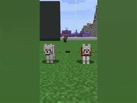 Факты Майнкрафт - Волк - YouTube