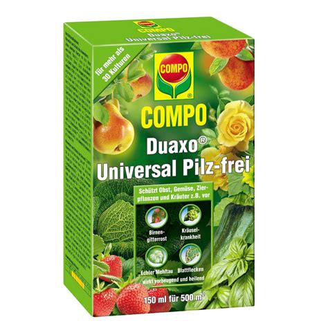 Compo Fungizid Duaxo Universal Pilz Frei 150 Ml Kaufen Bei OBI